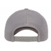 Кепка FlexFit 6606 Retro Trucker - Silver Кепка FlexFit 6606 Retro Trucker - Silver